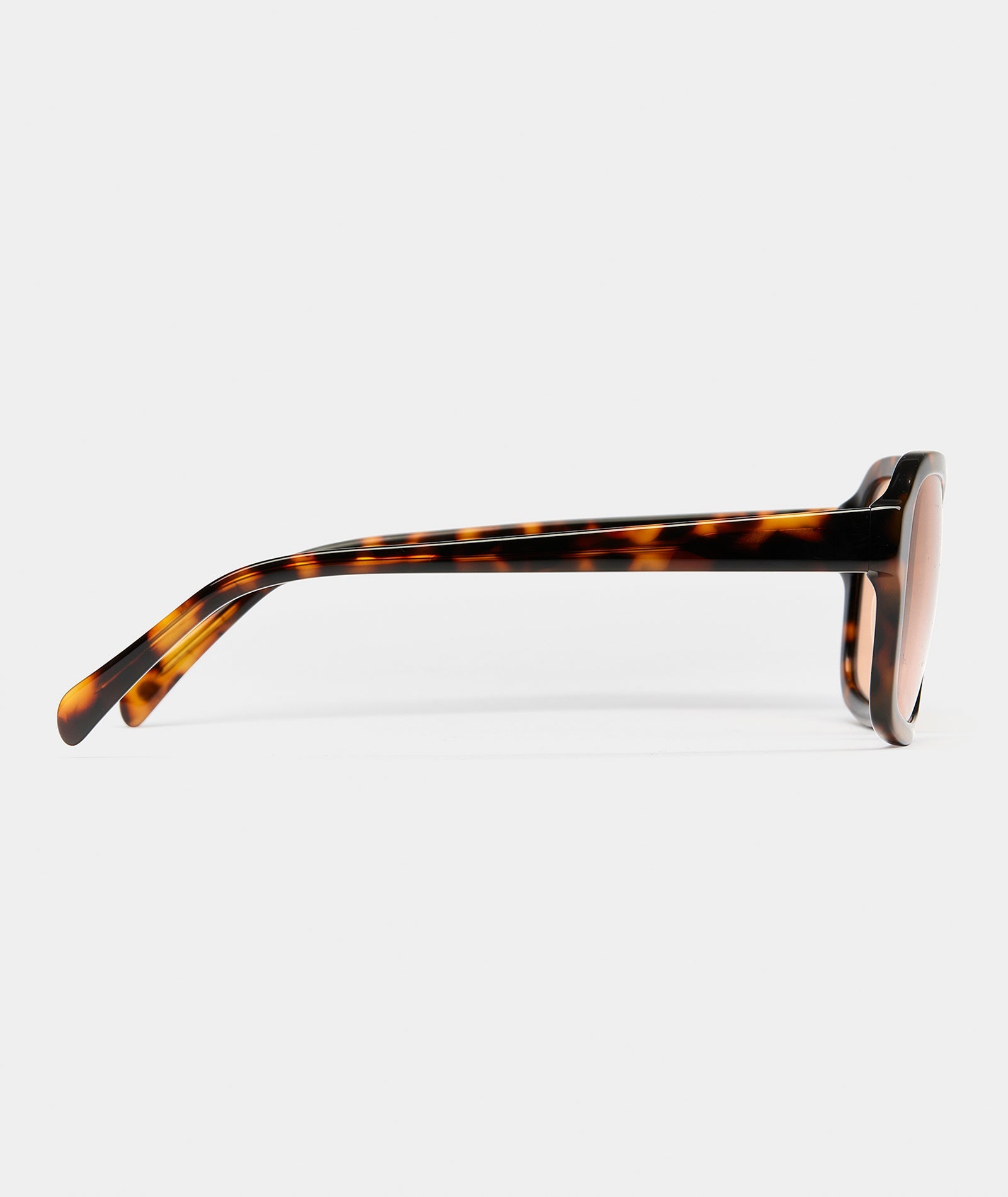 Sunglasses 🕶️ Choc Tort / Cinnamon